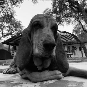 Meet your Posher, Stephen